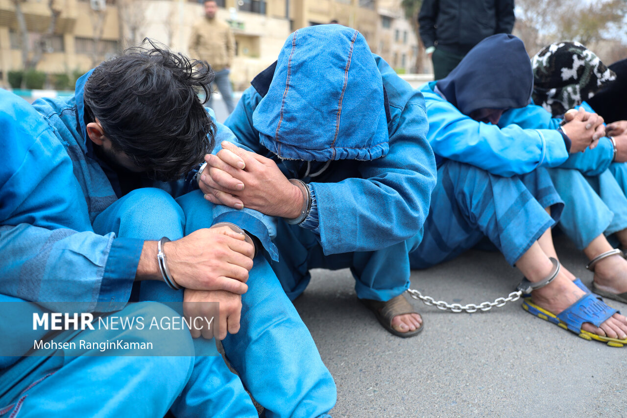 دستگیری سارقان