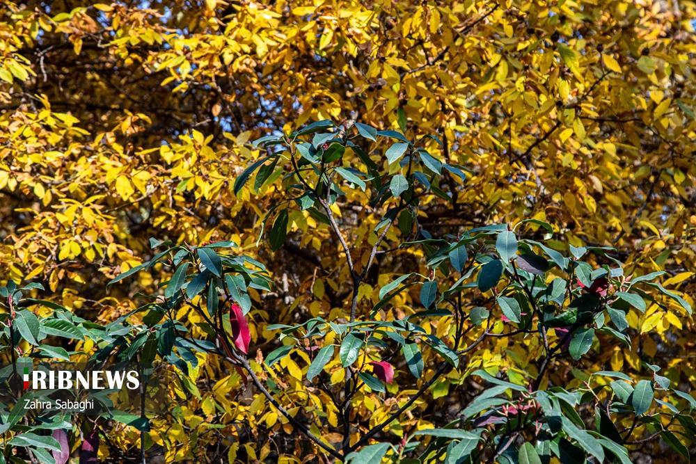 تصاویر | تهران چشم انتظار باران 4