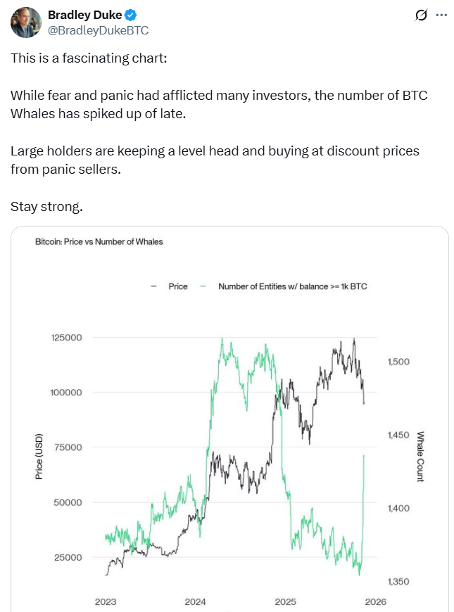سیگنال ریزش قیمت بیت کوین به نهنگ‌ها | پیش بینی شلوغ‌ترین هفته سال 2025 برای تراکنش‌های بزرگ 3