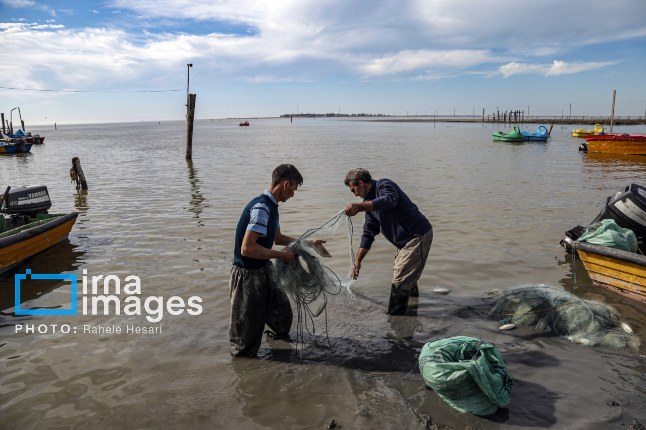 جزیره آشوراده