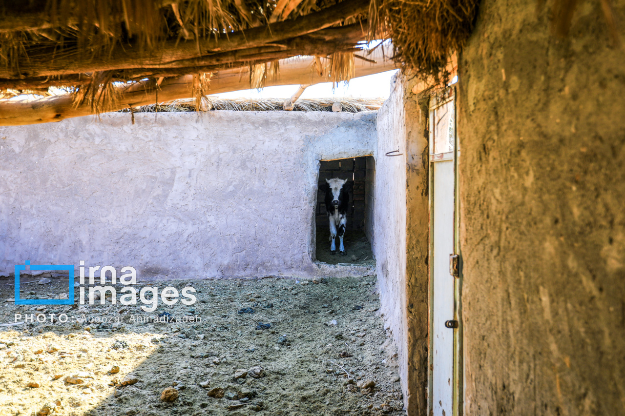 بهترین روستای گردشگری