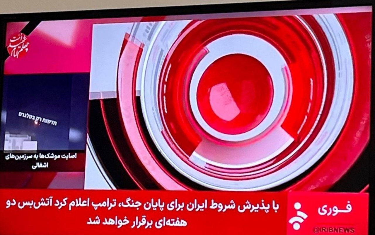 photo_2026-04-08_02-17-27