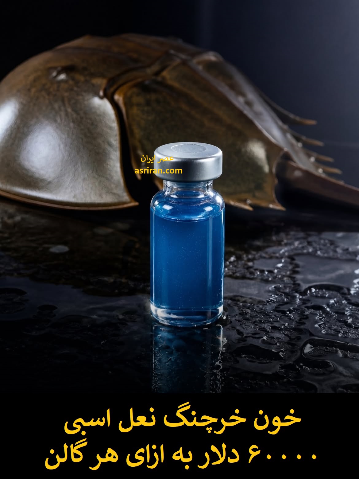 گران ترین مایعات جهان