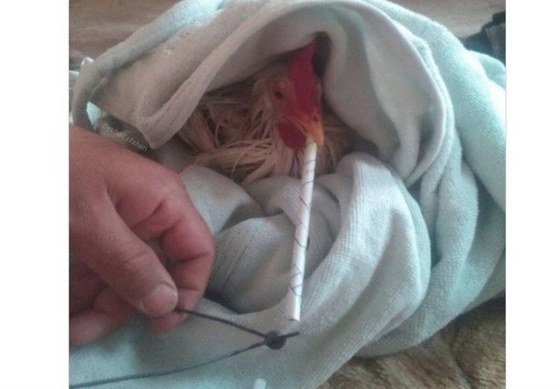 1404081813172581934634744