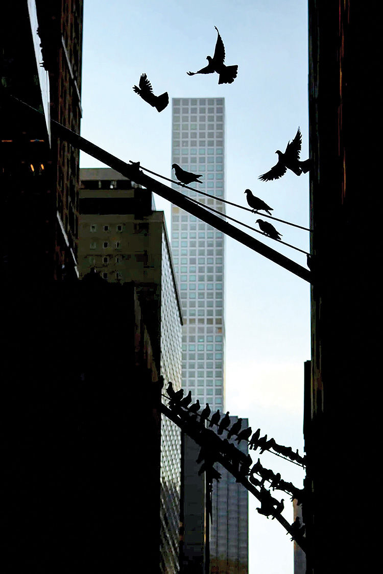 عکس+مطلب+شماره+4+copy