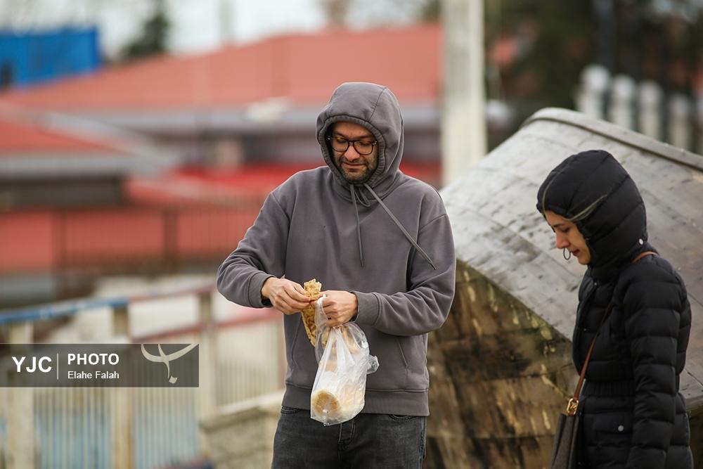 کاکایی های بندرانزلی