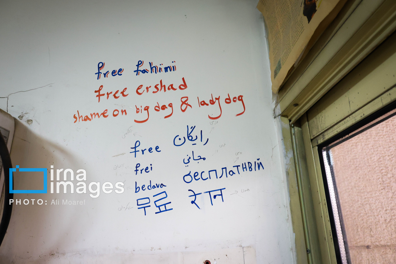 زندگی دانشجویی