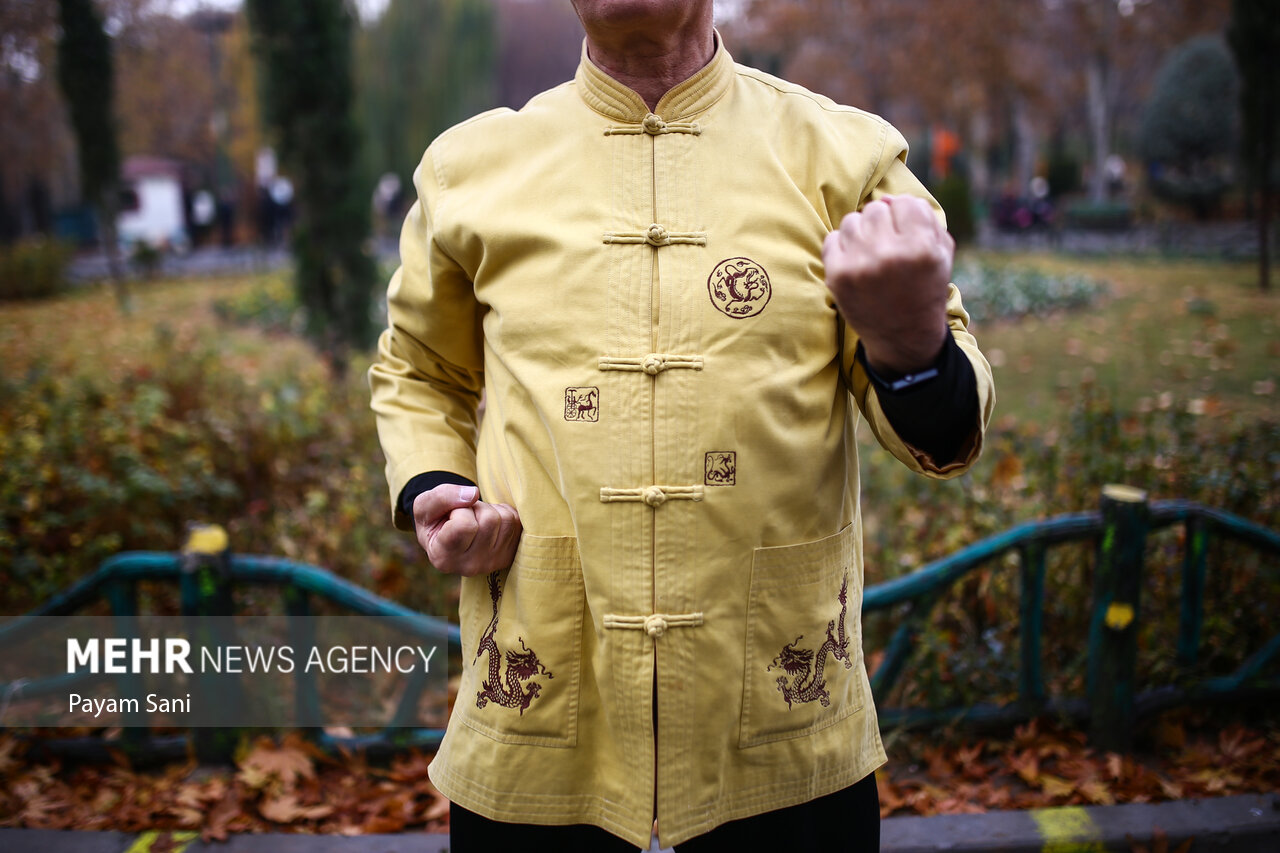 هماش تای چی