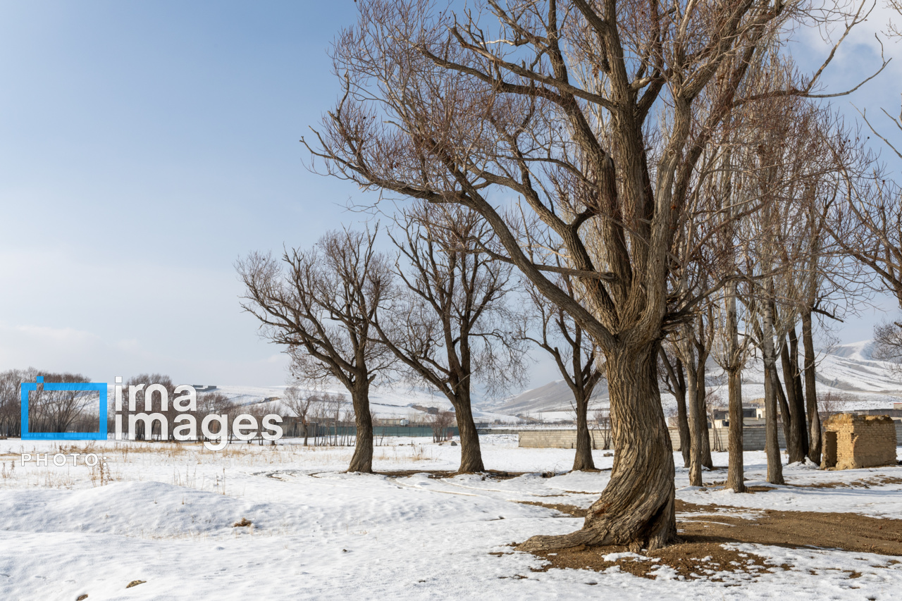 سهند سپیدپوش