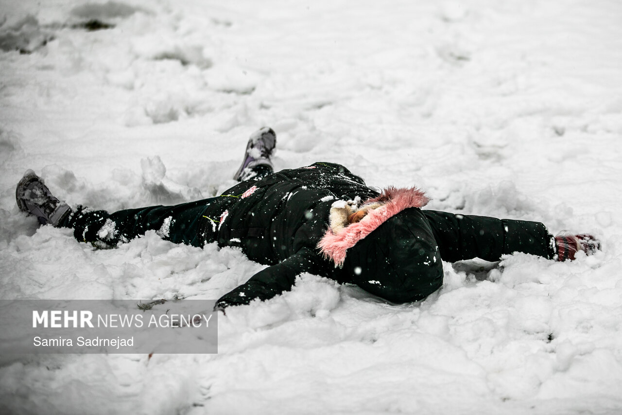 بارش برف در تهران