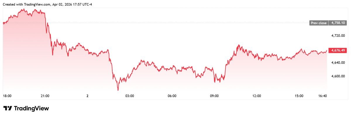 photo_2026-04-04_22-53-53