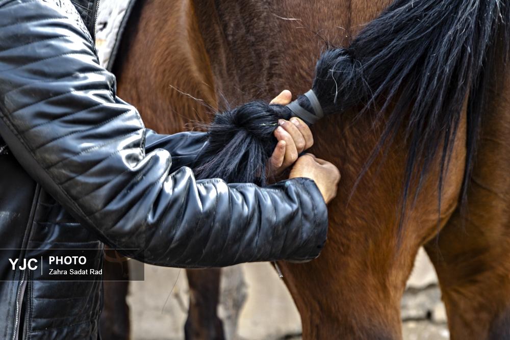 لیگ چوگان بانوان 