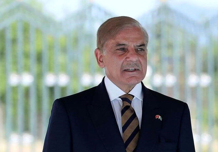 شهباز شریف با اردوغان دیدار کرد
