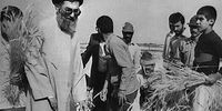 تصاویر کمتر دیده شده از رهبر انقلاب هنگام مشارکت در دروی گندم