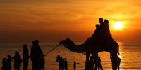 تصاویری از خلیج فارس به مناسبت روز ملی «خلیج فارس»