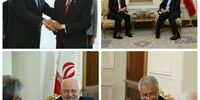 رایزنی دبیرکل جدید سازمان D8 با ظریف

