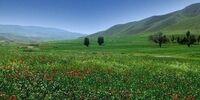 بارش باران در 19 استان /شمال گرم‌ می‌شود
