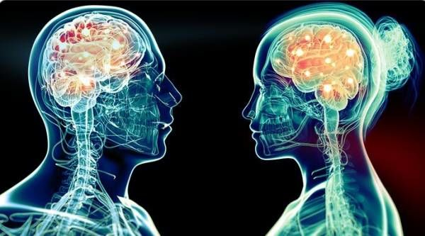  مغز زنان کوچکتر است یا مغز مردان؟