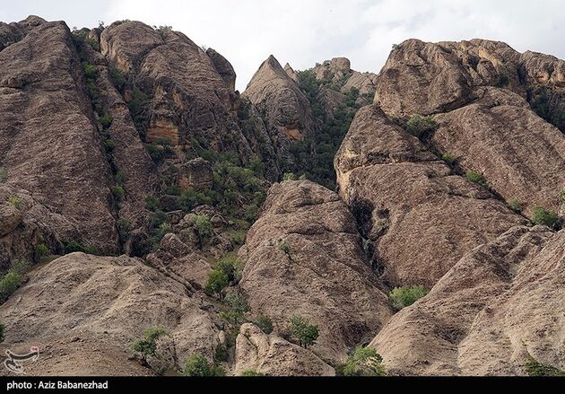 image6
