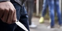 دستگیری دو شرور قمه‌کش در شمال تهران + جزئیات