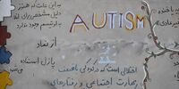 توجه به اوتسیم در ضوابط مناسب‌سازی شهرسازی

