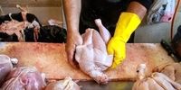 اعلام جدیدترین قیمت مرغ در بازار/ هر کیلو مرغ گرم چقدر قیمت خورد؟