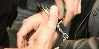 متهم بزرگ مفاسد اقتصادی بازداشت شد