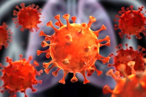نوع جدیدی از ویروس کرونا کشف شد