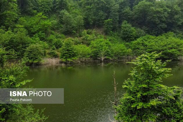 62279159_DJI_0465