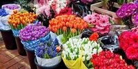 ۵ بازار گل معروف تهران که هوش از سرتان می برد