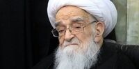 سخنان آیت‌آلله صافی در مجلس خبرگان قانون اساسی: اسلام دینی ضد استبدادی است+فیلم