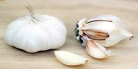 بوی سیر آزارتان می‌دهد؟ این ماده غذایی را امتحان کنید