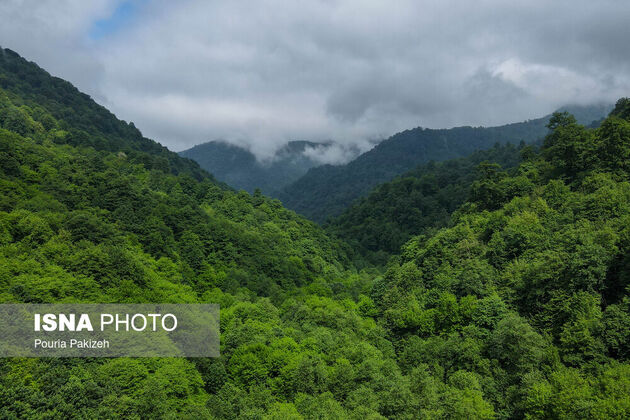 62279162_DJI_0405