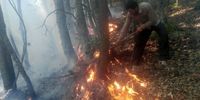  آتش سوزی در جنگل های کجور نوشهر