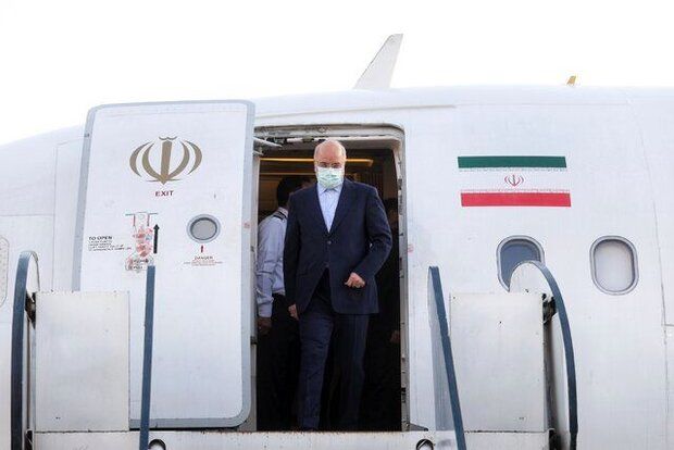 رئیس مجلس به تهران بازگشت