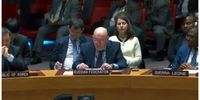 درخواست مهم نماینده روسیه از اعضای شورای امنیت درباره فلسطین