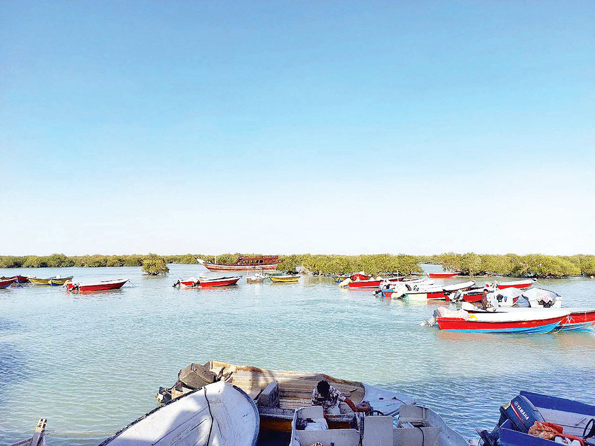 نفس آخر بوم‌گردی‌ها؛ دومینوی لغو سفرهای رزرو شده در جنوب/ سودهایی که به صفر رسید