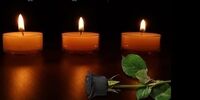 ملیکا برجی چشم از جهان فروبست