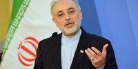 علل کُند شدن روند تکمیل نیروگاه‌های ۲ و ۳ بوشهر از زبان صالحی
