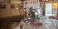 جان باختن ۹ تن تحت تاثیر بارش‌های ۹ روز اخیر