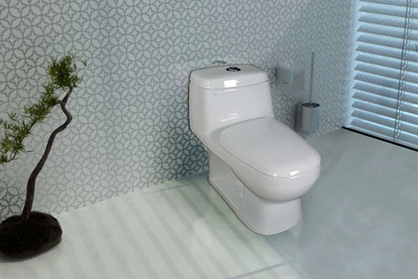 این توالت هوشمند بیماری های شما را تشخیص می دهد 