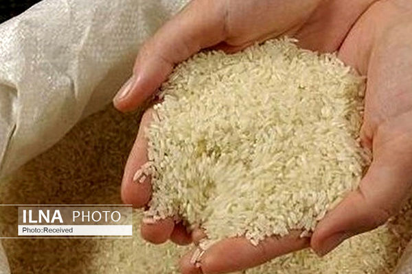 برنج ایرانی کیلویی ۱۰۰ هزار تومان می شود؟
