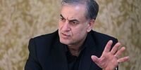 احمدی بیغش: مولدسازی یک زیان غیرقابل جبران و یک بدعت بزرگ در قانون اساسی است