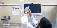 اظهارات فرماندار چالوس درباره خبر استعفای جمعی از پرستاران