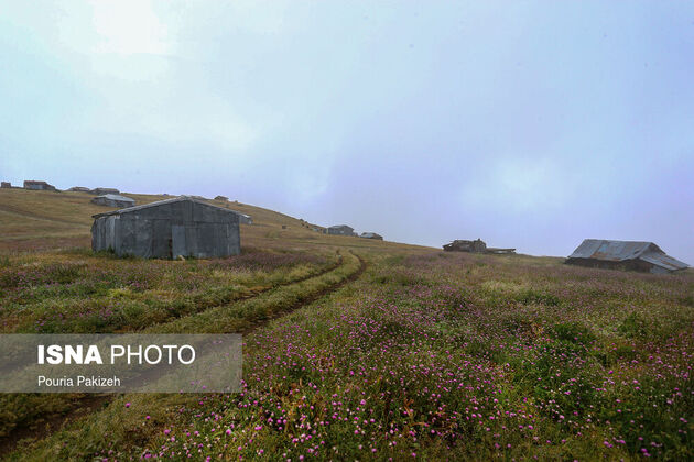 61939840_AG5J5480
