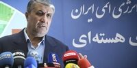 محمد اسلامی: اساس مذاکرات برجامی رفع تحریم هاست