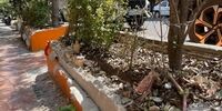 «پاتوق‌زدایی» در تهران؛ جدول‌ها و باغچه‌های مقابل کافه‌های خیابان سنایی شبانه تخریب شد/ مسبب این خرابی‌های شبانه کیست؟+ فیلم 