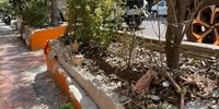 «پاتوق‌زدایی» در تهران؛ جدول‌ها و باغچه‌های مقابل کافه‌های خیابان سنایی شبانه تخریب شد/ مسبب این خرابی‌های شبانه کیست؟+ فیلم 