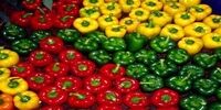 ​چرا روسیه فلفل های صادراتی ایران را پس فرستاد؟