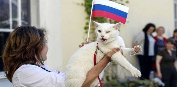 گربه پیشگوی روسیه بازی افتتاحیه جام جهانی را پیش‌بینی کرد